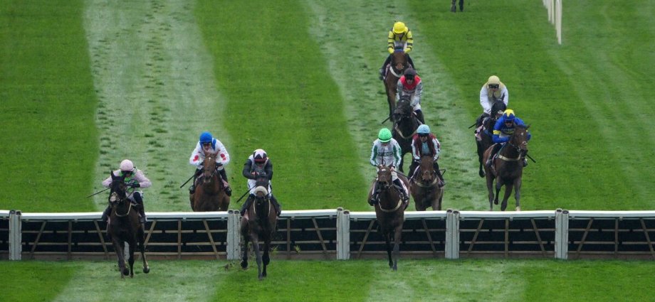Grand National Festival tips, results, odds, runners and racecard for Ladies Day