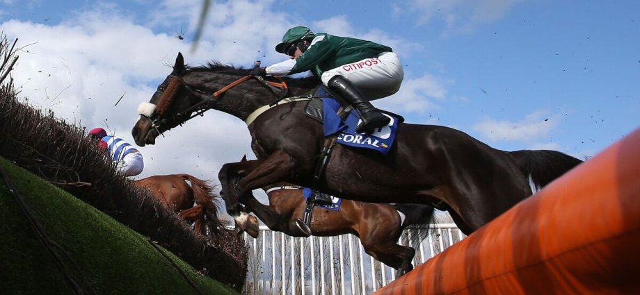 Full list of Scottish Grand National 2026 horse numbers and jockey colours