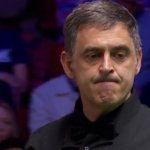 Ronnie O'Sullivan interrupted by fan during as ref forced to intervene