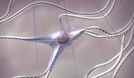 Does menopause cause a ‘collagen cliff’? What you need to know