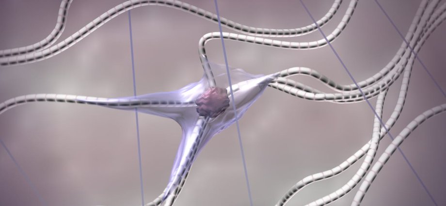 Does menopause cause a ‘collagen cliff’? What you need to know