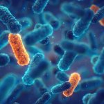 What a ‘post-antibiotic era’ could mean for modern medicine