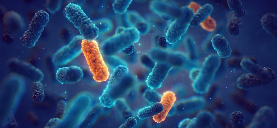 What a ‘post-antibiotic era’ could mean for modern medicine