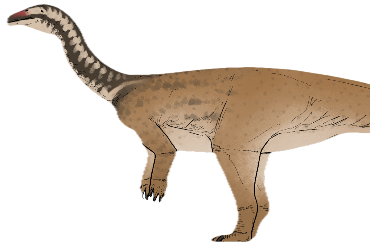 New dinosaur species found in China bridges key gap in evolution of ...