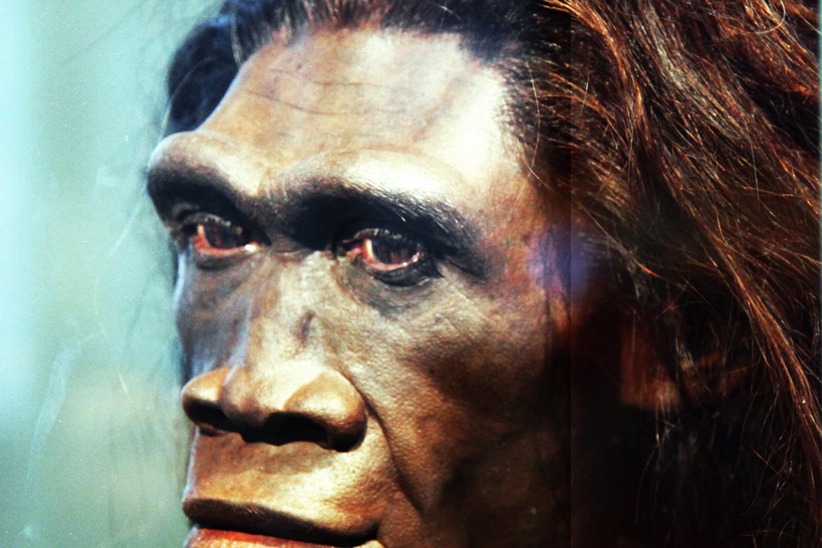 Ancient 400,000-year-old teeth reveal early humans mated with ancestor ...
