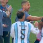 Argentina stars throw punches in 'disgusting' scenes after Spain win World Cup