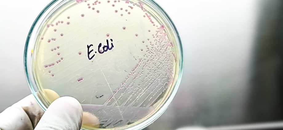 Nature has spent billions of years fighting bacteria – AI could help us learn its secrets