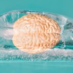 Got ice-cream brain freeze? Here’s what is happening