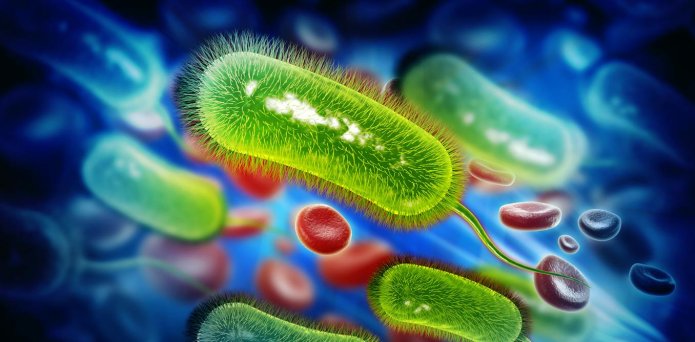 A common stomach infection may be linked to bowel cancer – here’s what we know