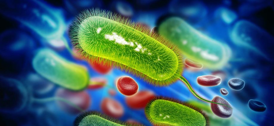 A common stomach infection may be linked to bowel cancer – here’s what we know