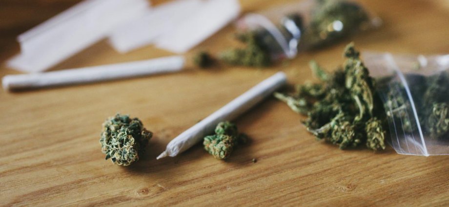 Cannabis doesn’t make you violent – despite what recent reports have claimed